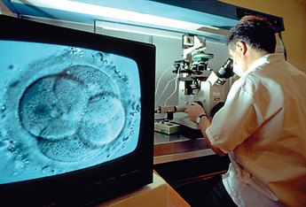 in vitro
